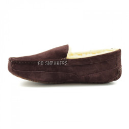 Men&#039;s Ascot Chocolate