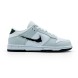 Унисекс кроссовки Nike Dunk Low Light Iron Ore Avec