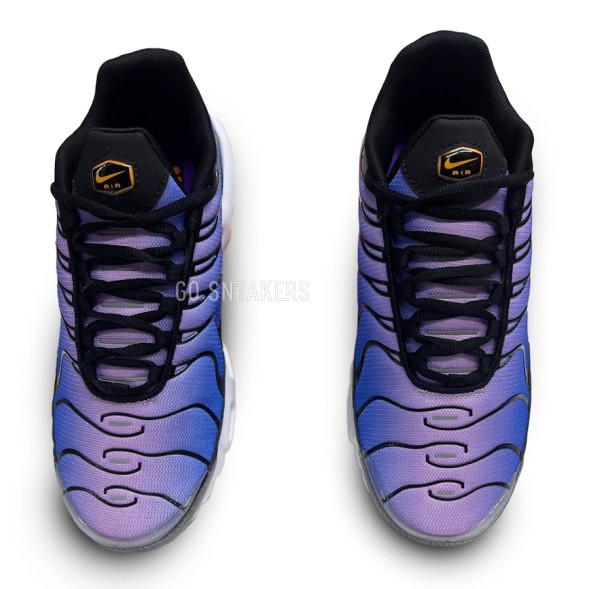 Мужские кроссовки Nike Air Max TN Plus Purple Gradient